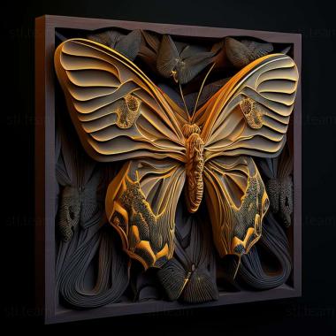 3D model Ornithoptera aesacus (STL)